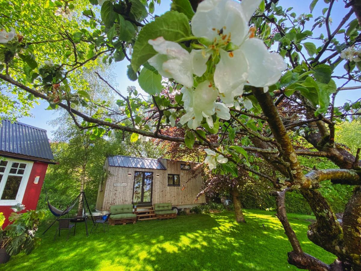 Tiny House - Idyllic Hébergement de vacances *